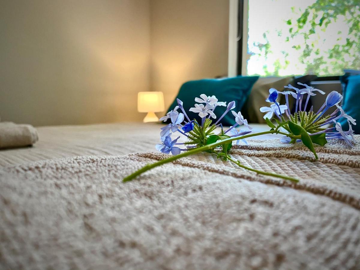 Jackals Dream - Self Catering Villa Bordering Kruger National Park Marloth Park Luaran gambar