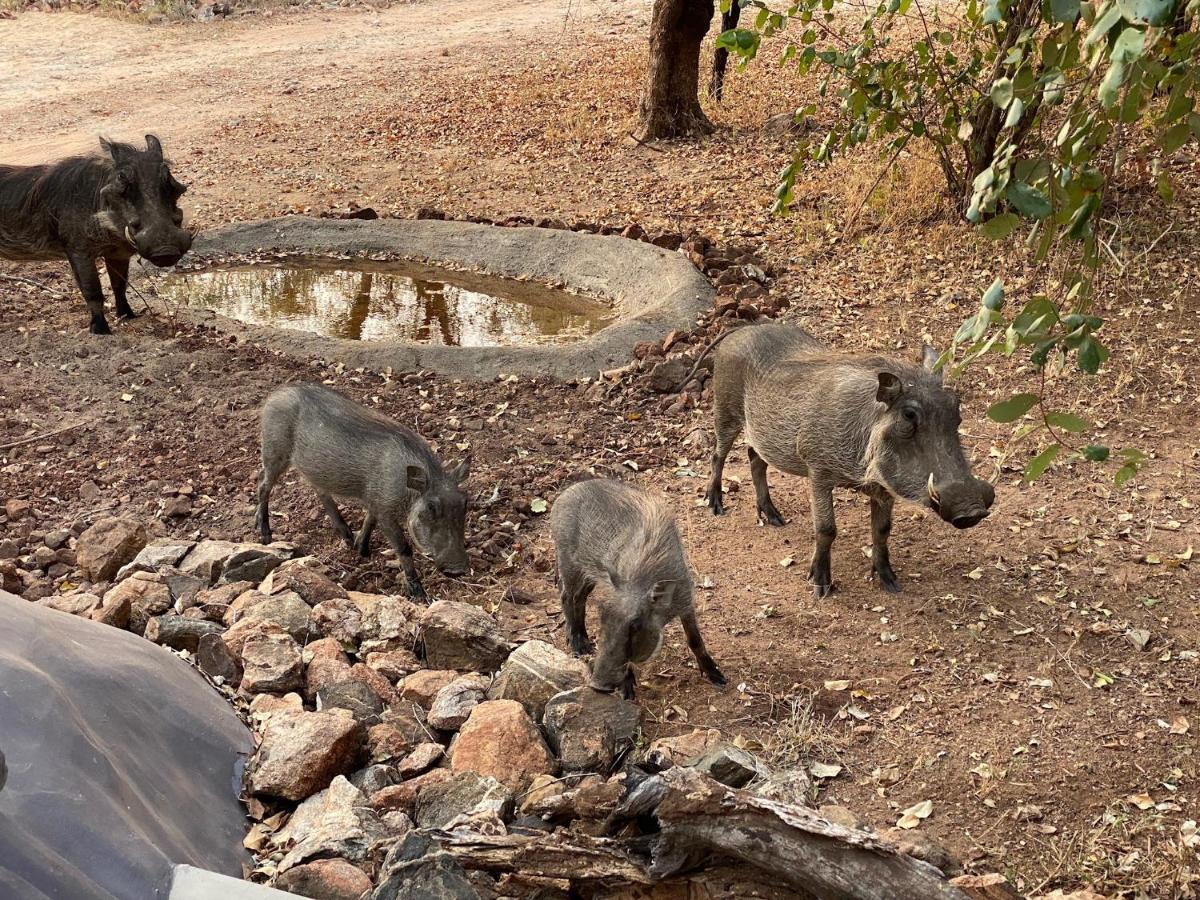 Jackals Dream - Self Catering Villa Bordering Kruger National Park Marloth Park Luaran gambar