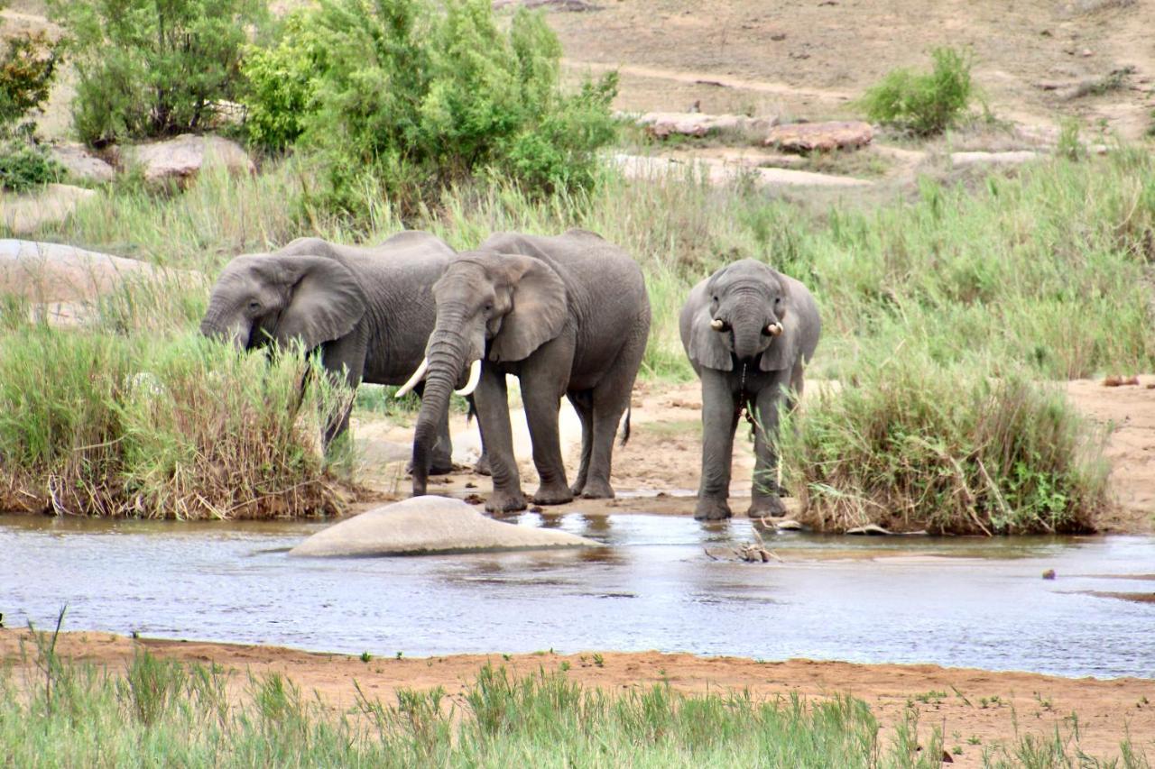 Jackals Dream - Self Catering Villa Bordering Kruger National Park Marloth Park Luaran gambar
