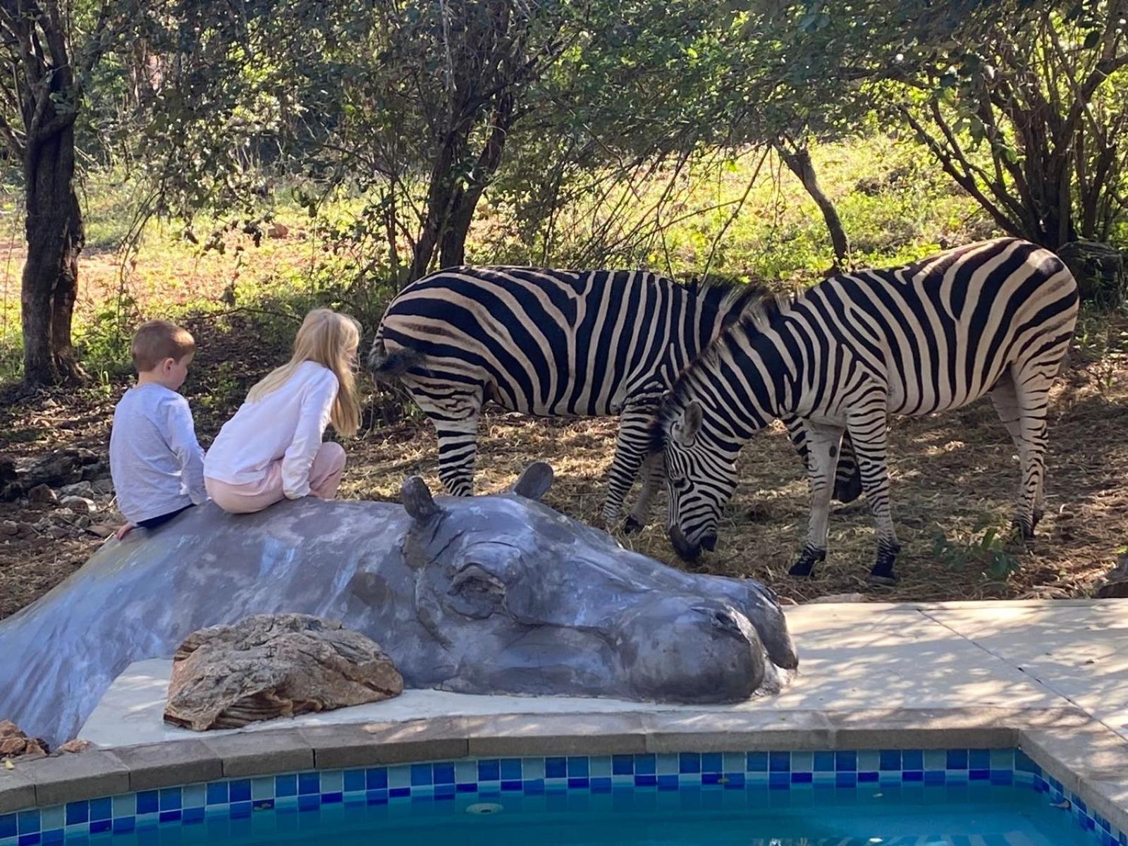 Jackals Dream - Self Catering Villa Bordering Kruger National Park Marloth Park Luaran gambar